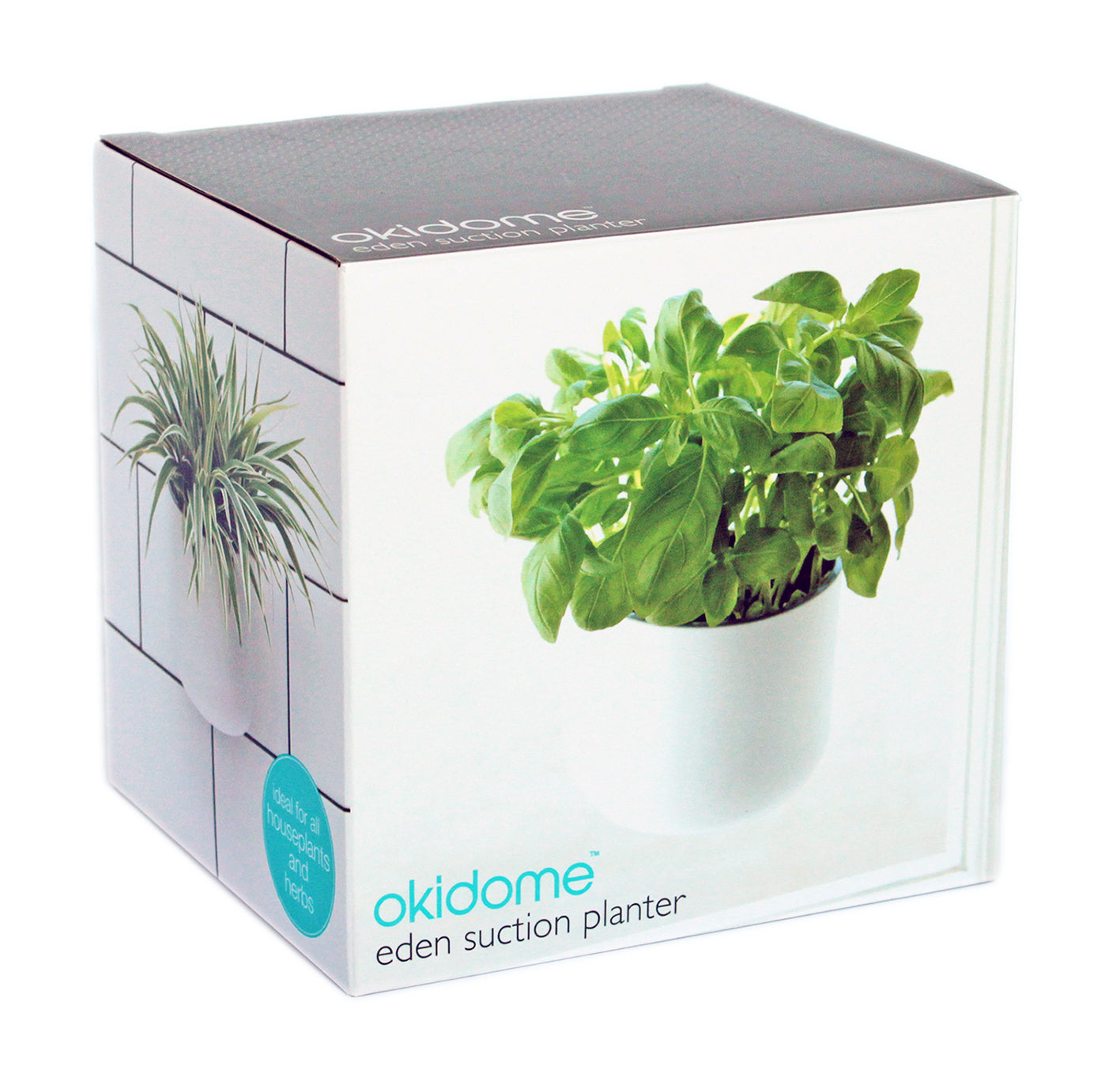 Okidome Suction Planter box at an angle