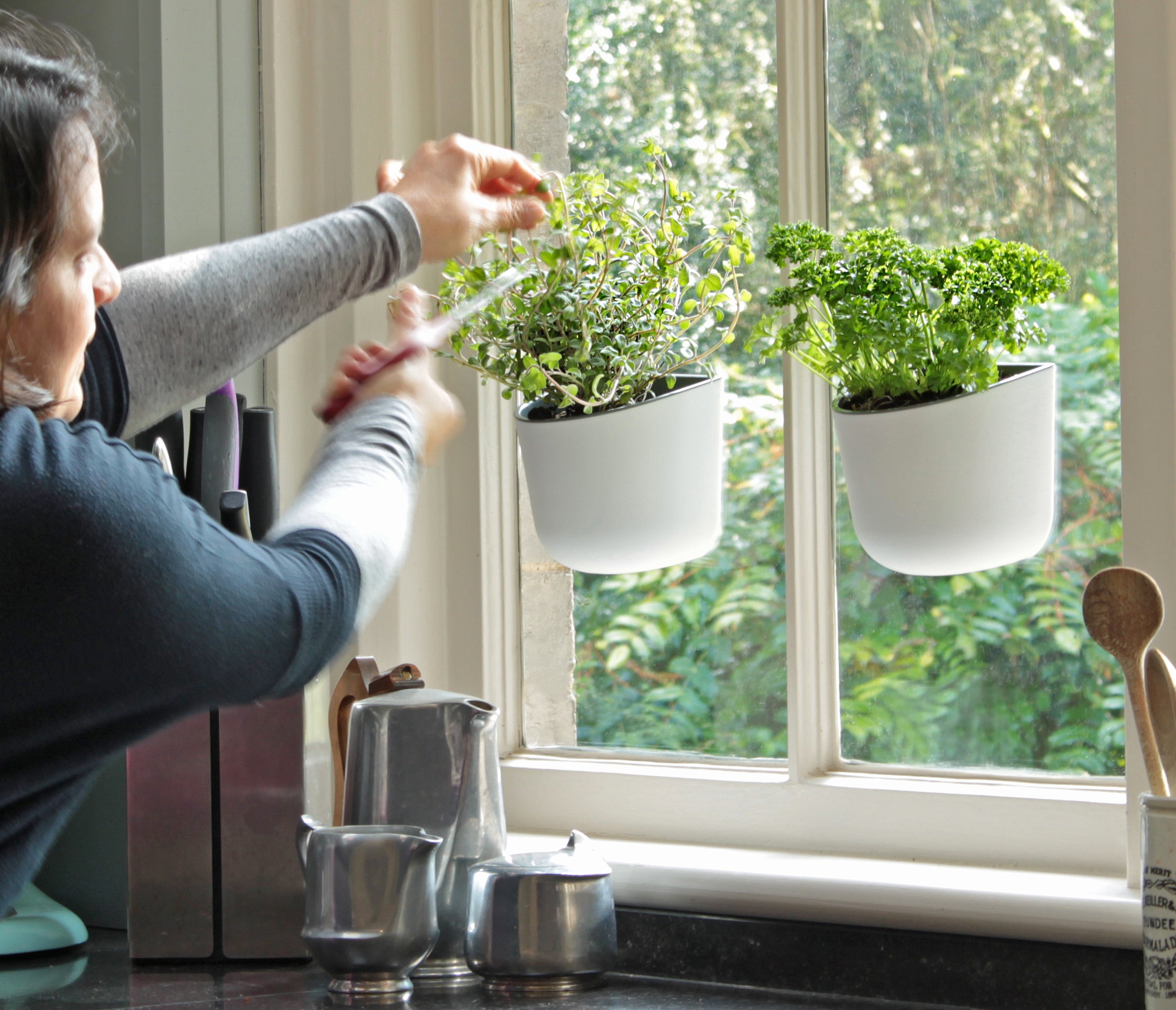 Two Okidome planters on a window with person cutting herbs from them