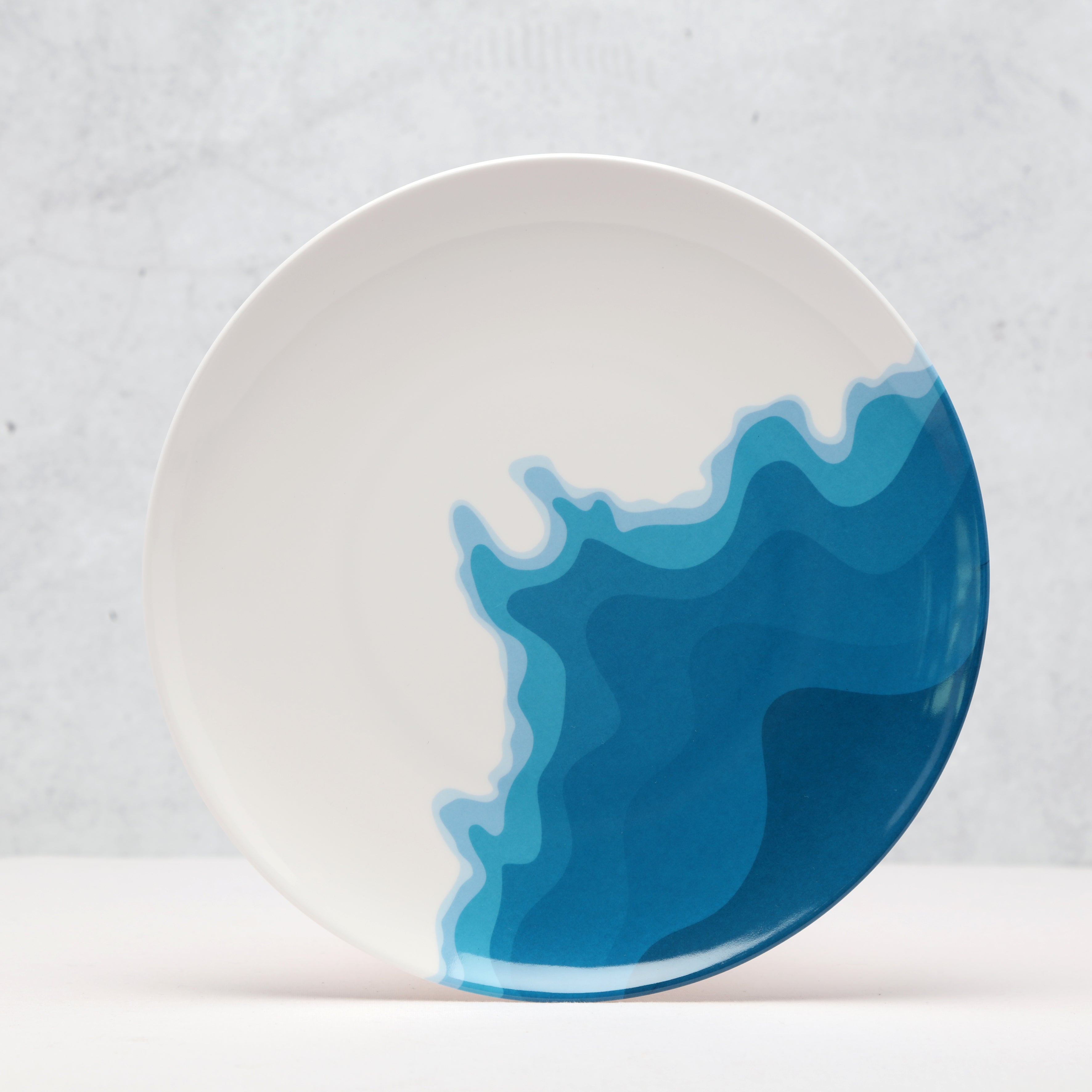 Side view of a Rick Stein Melamine Dinner Plate. Lamorna Cove design